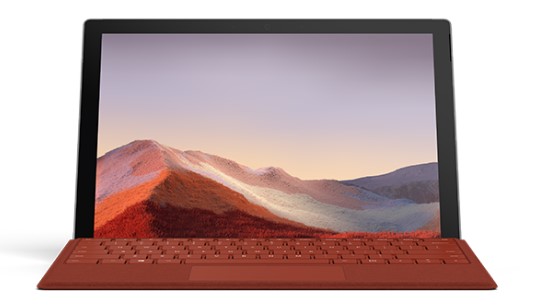 武穴Surface Go